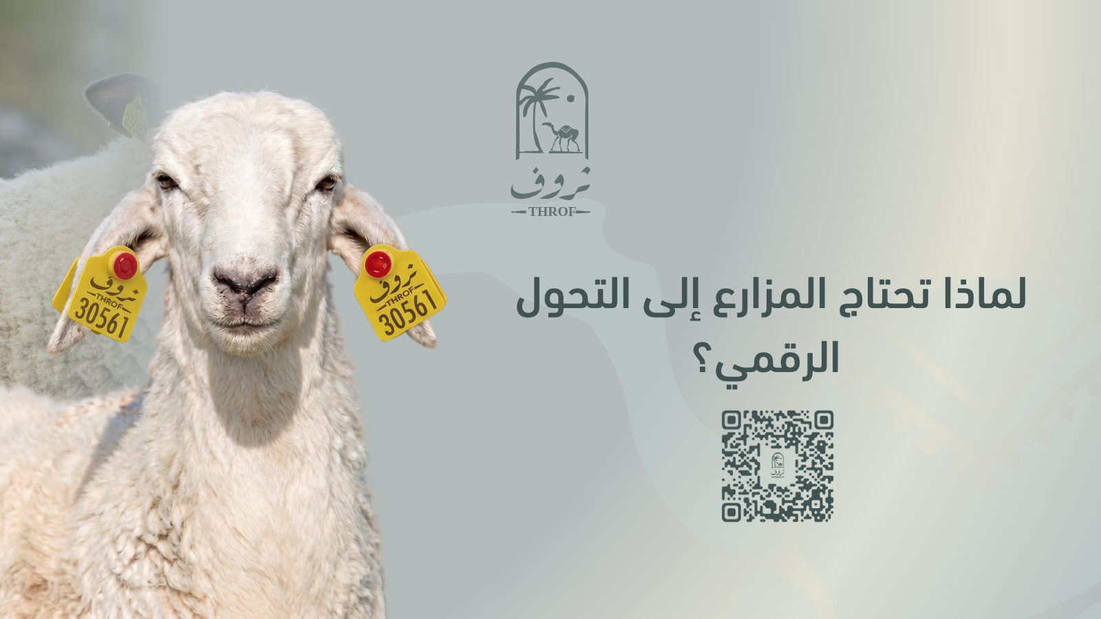لماذا تحتاج المزارع إلى التحول الرقمي؟ الدليل الشامل لإدارة المزارع الحديثة — ثروف