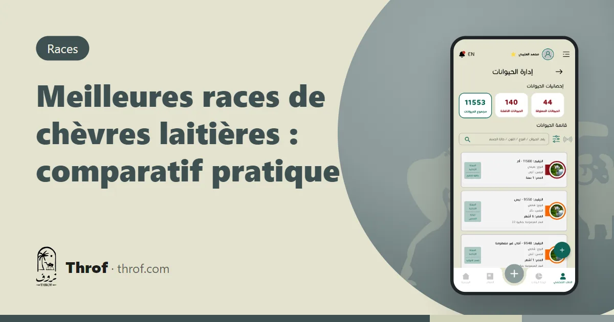 Chèvres laitières Saanen, Alpine et Nubienne comparées — Throf