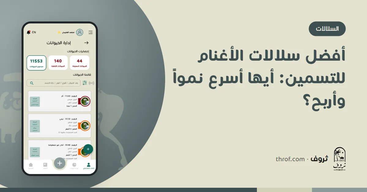 مقارنة سلالات الأغنام في حظيرة التسمين حسب سرعة النمو والربح — ثروف