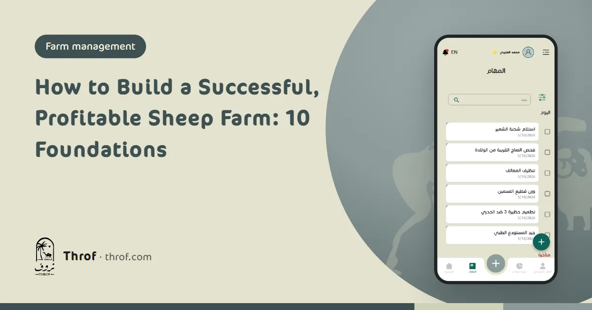 A breeder checks well-organised sheep pens on a successful farm — Throf
