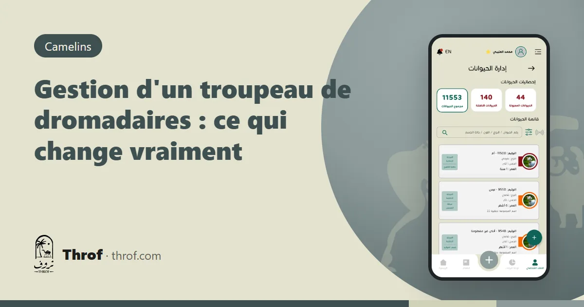 Troupeau de dromadaires avec une fiche numérique par chamelle sur téléphone — Throf