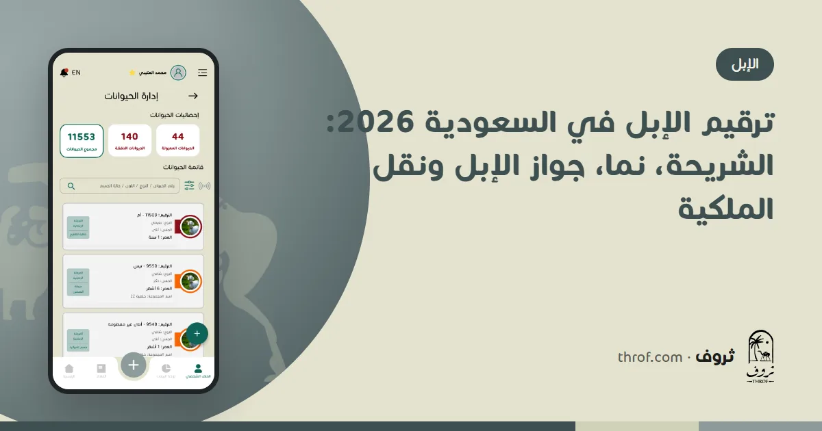 ترقيم الإبل في السعودية: قارئ يقرأ شريحة في رقبة ناقة ويعرض الرقم على الجوال — ثروف