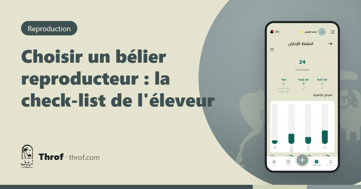 Éleveur examinant un bélier avant la saison de lutte — Throf