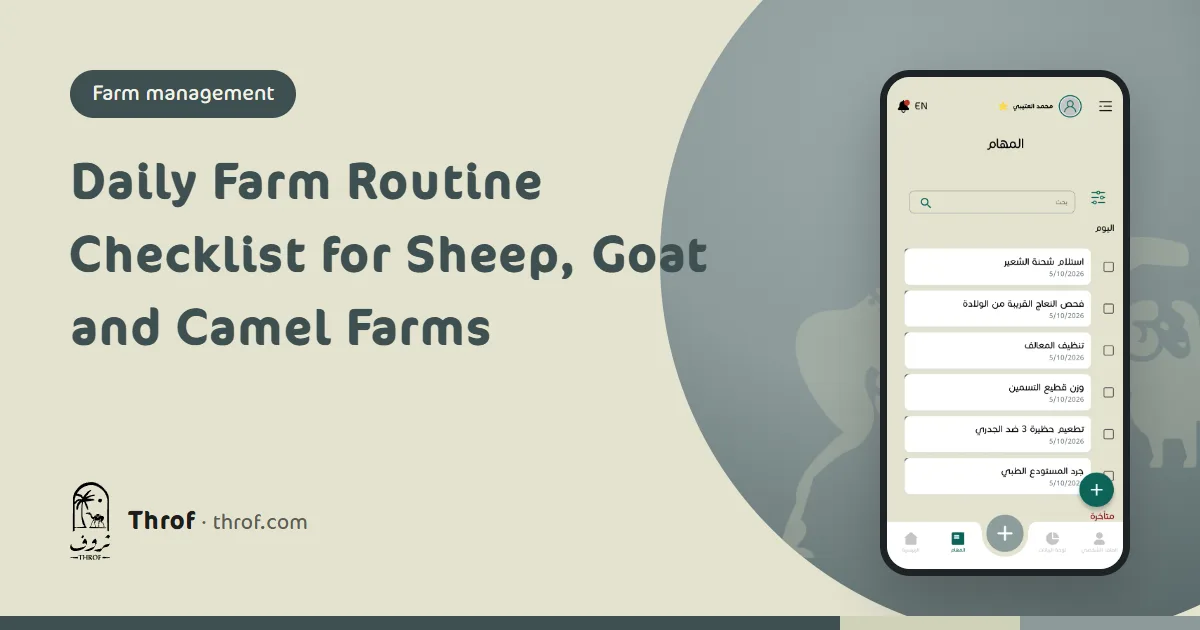 A daily routine checklist for a sheep and goat farm — Throf