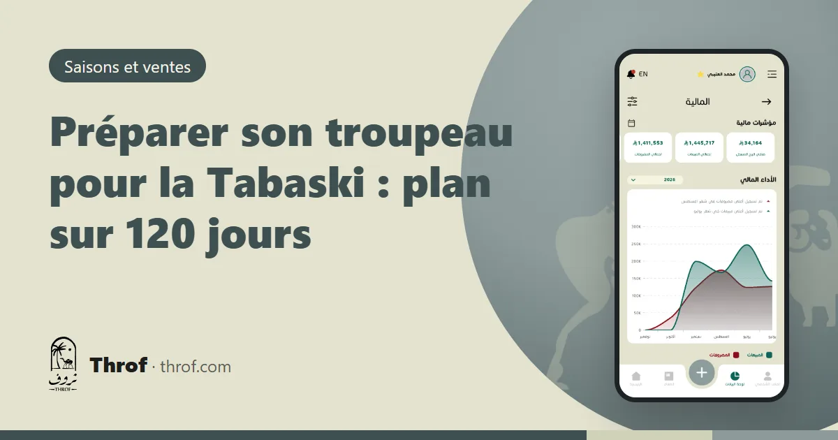 Troupeau de moutons prêt pour la Tabaski avec poids et prix par tête — Throf