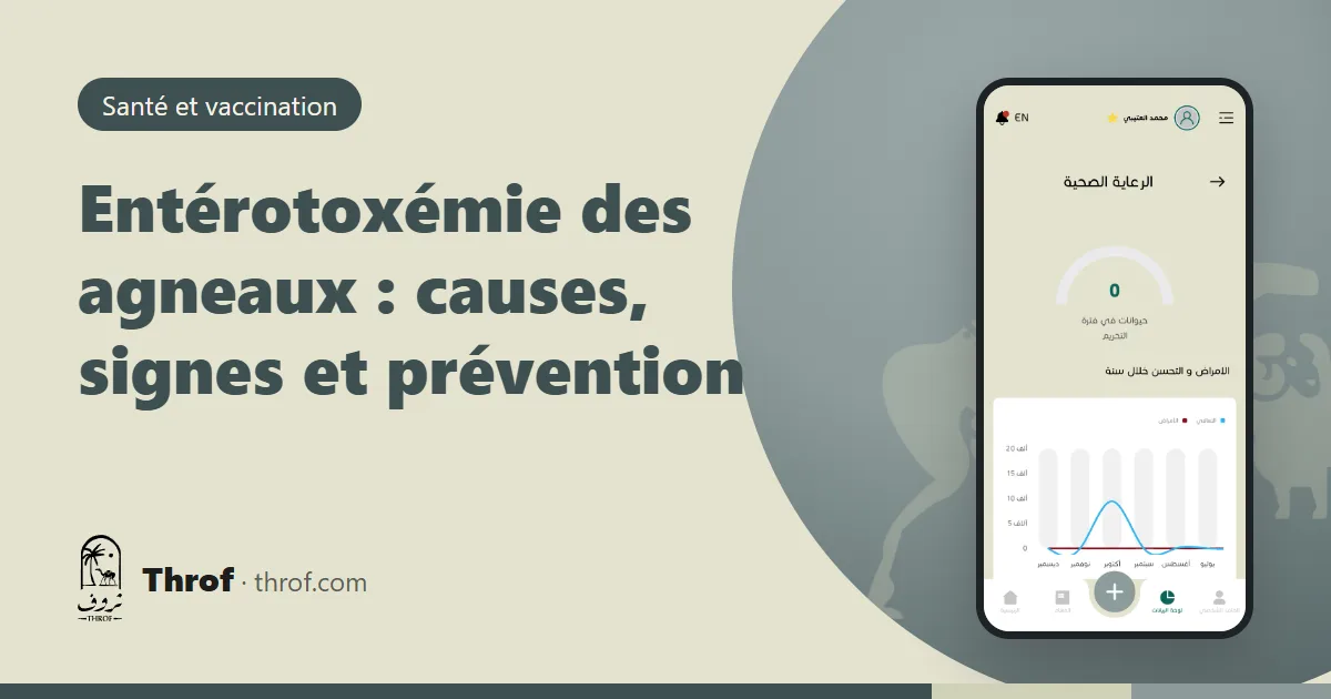 Entérotoxémie des agneaux, causes et prévention — Throf