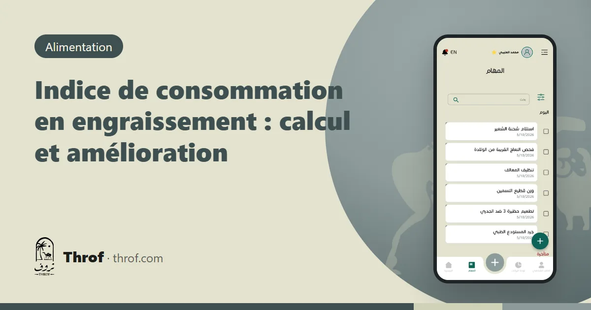 Indice de consommation en engraissement des agneaux — Throf