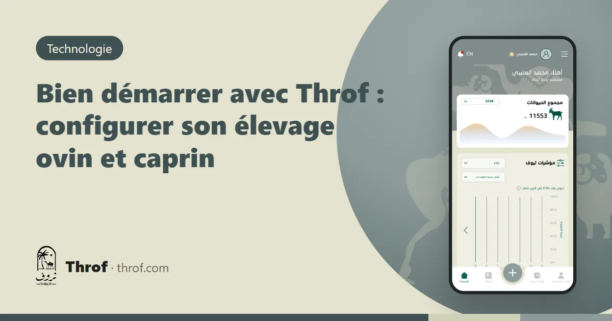 Bien démarrer avec Throf : un éleveur enregistre ses moutons et chèvres sur son téléphone dans la bergerie — Throf