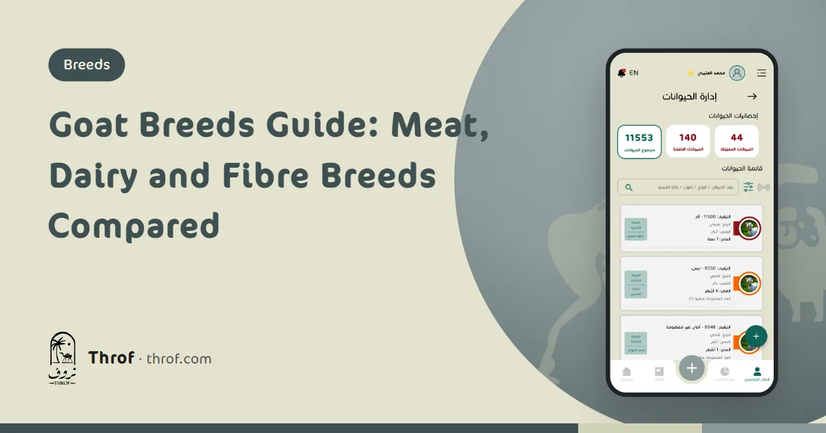 The main goat breeds for meat, milk and fibre in one guide — Throf