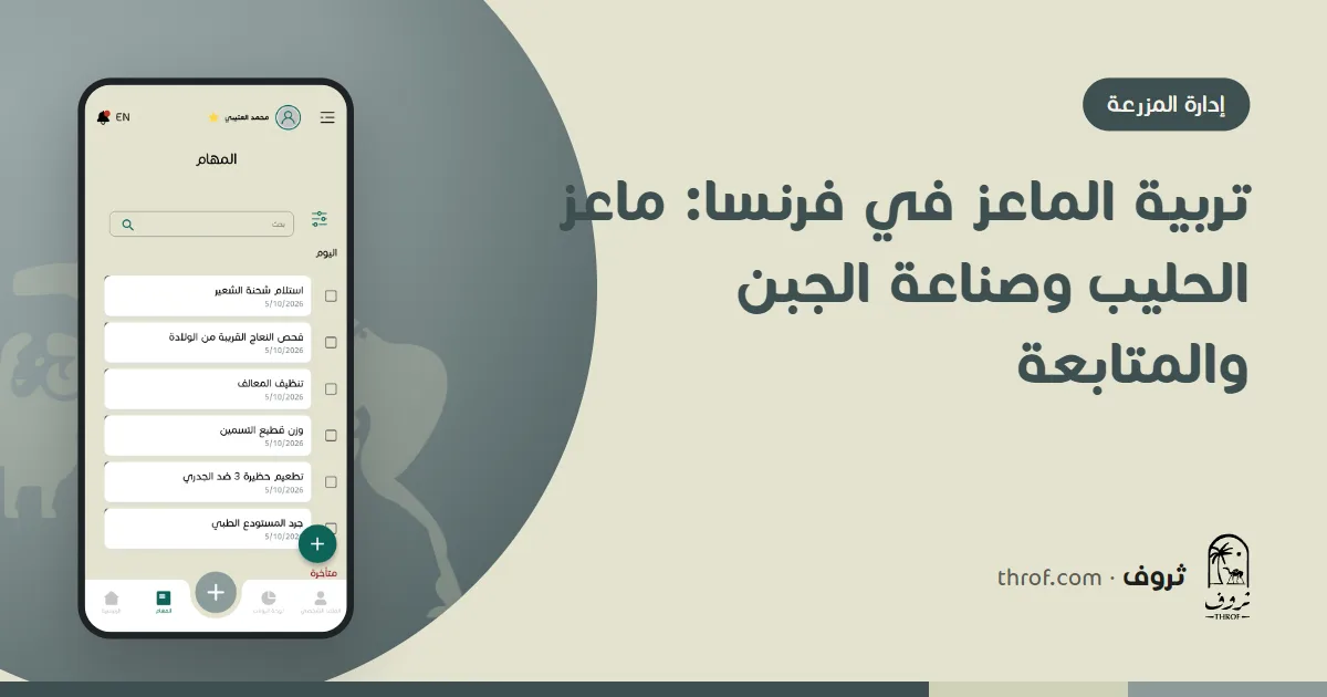ماعز حليب من سلالتي الألبين والسانين في حظيرة فرنسية — ثروف