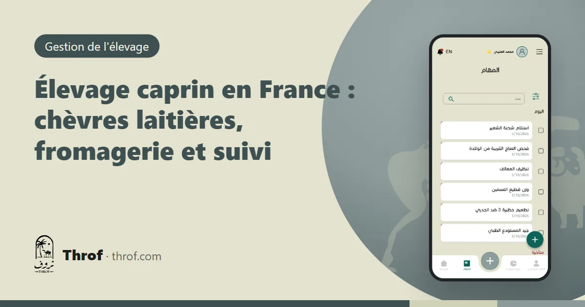 Chèvres laitières Alpine et Saanen dans une chèvrerie française — Throf