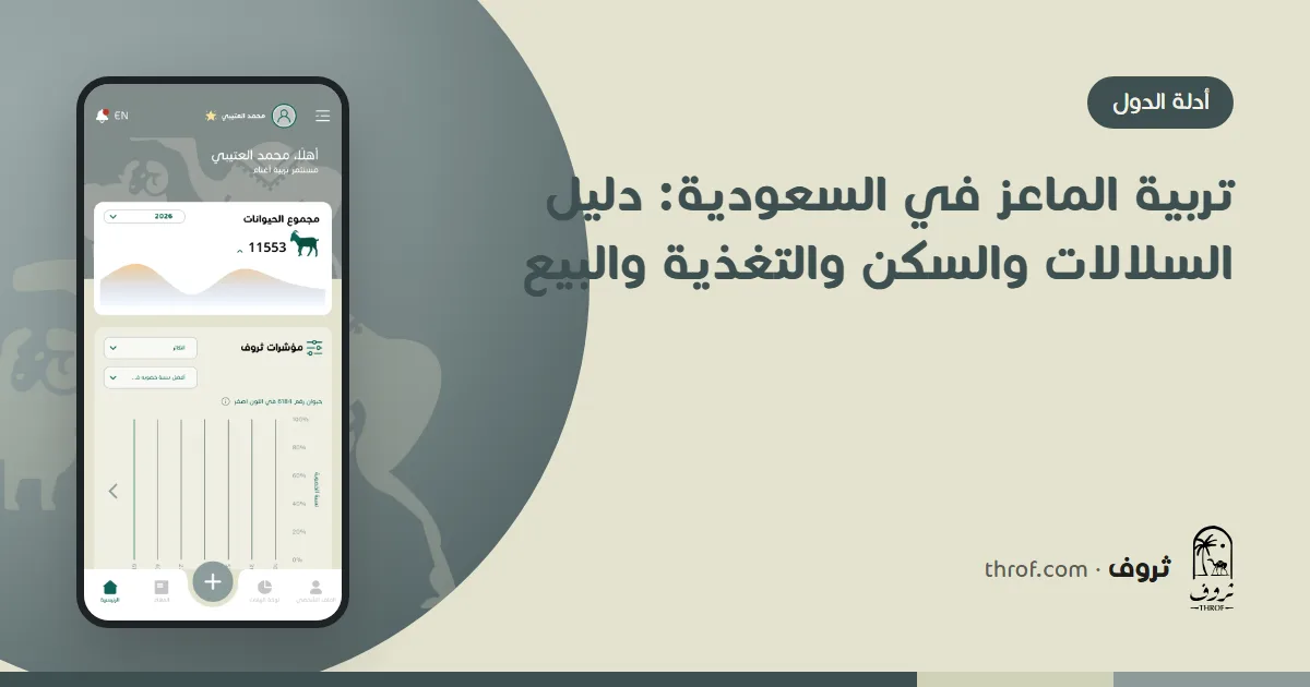 قطيع ماعز عارضي وشامي تحت مظلة في مزرعة سعودية — ثروف
