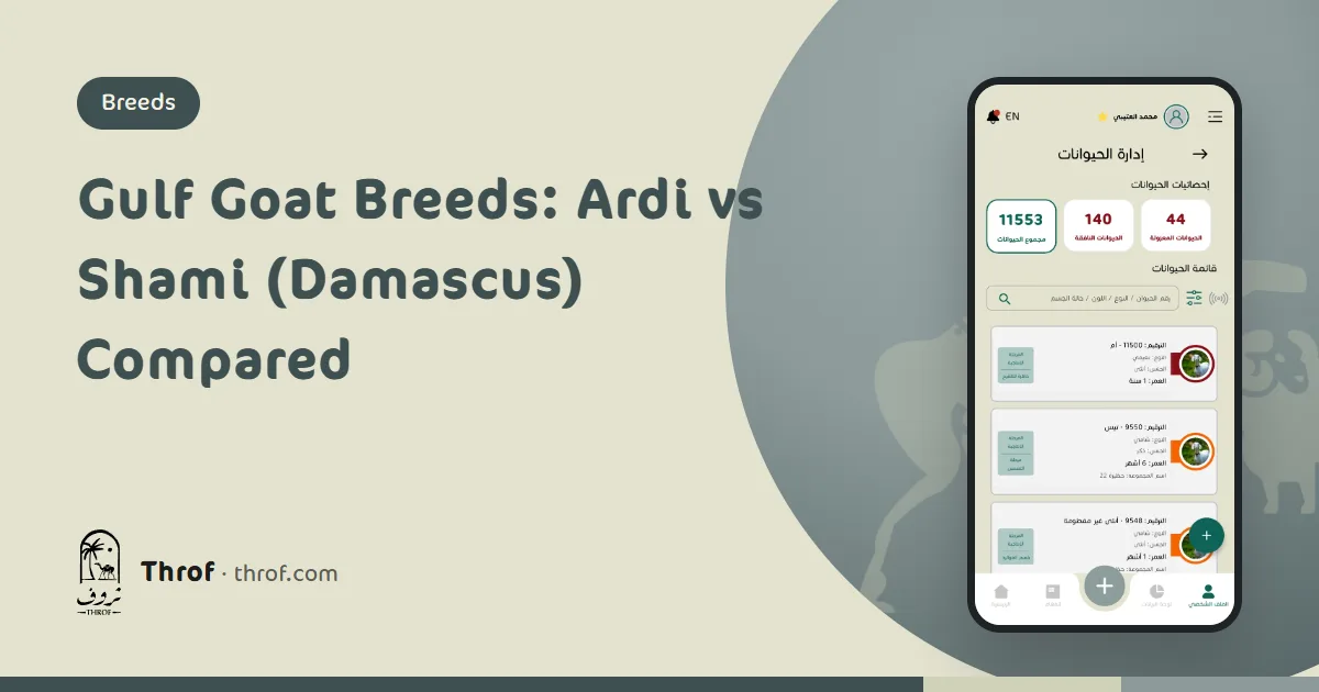 Ardi and Shami goat breeds of the Gulf compared — Throf