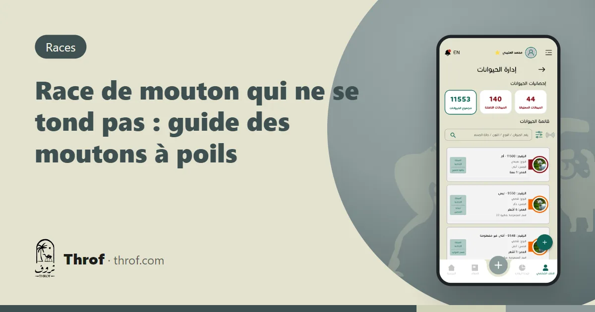 Races de moutons à poils qui ne se tondent pas, du Sahel au désert — Throf