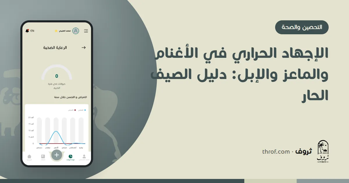 أغنام تستظل في يوم صيفي حار — ثروف
