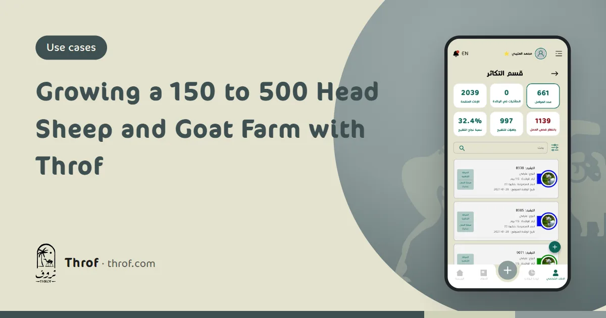 A breeder following his pens of sheep and goats and two workers from his phone on a small commercial farm — Throf