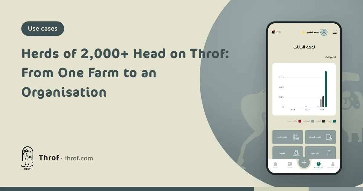 A farm manager reviews the operations log and reports for several sites on the Throf web platform while a worker records in the pen on a phone — Throf