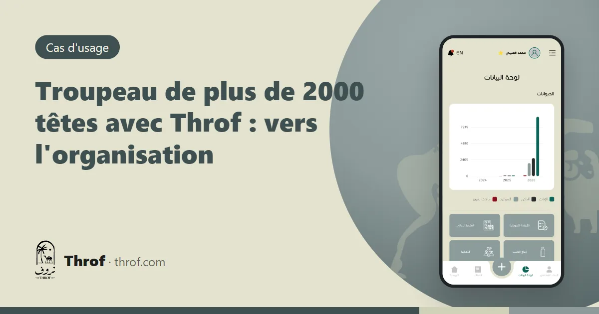 Un gérant d'élevage consulte le journal des opérations et les rapports de plusieurs sites sur la plateforme web Throf, pendant qu'un ouvrier saisit dans la bergerie sur son téléphone — Throf