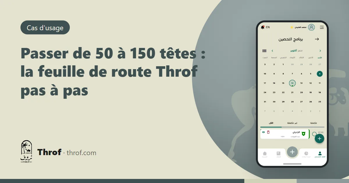 Passer de 50 à 150 têtes : un éleveur et son aide répartissent moutons et chèvres dans les enclos et saisissent sur leur téléphone — Throf