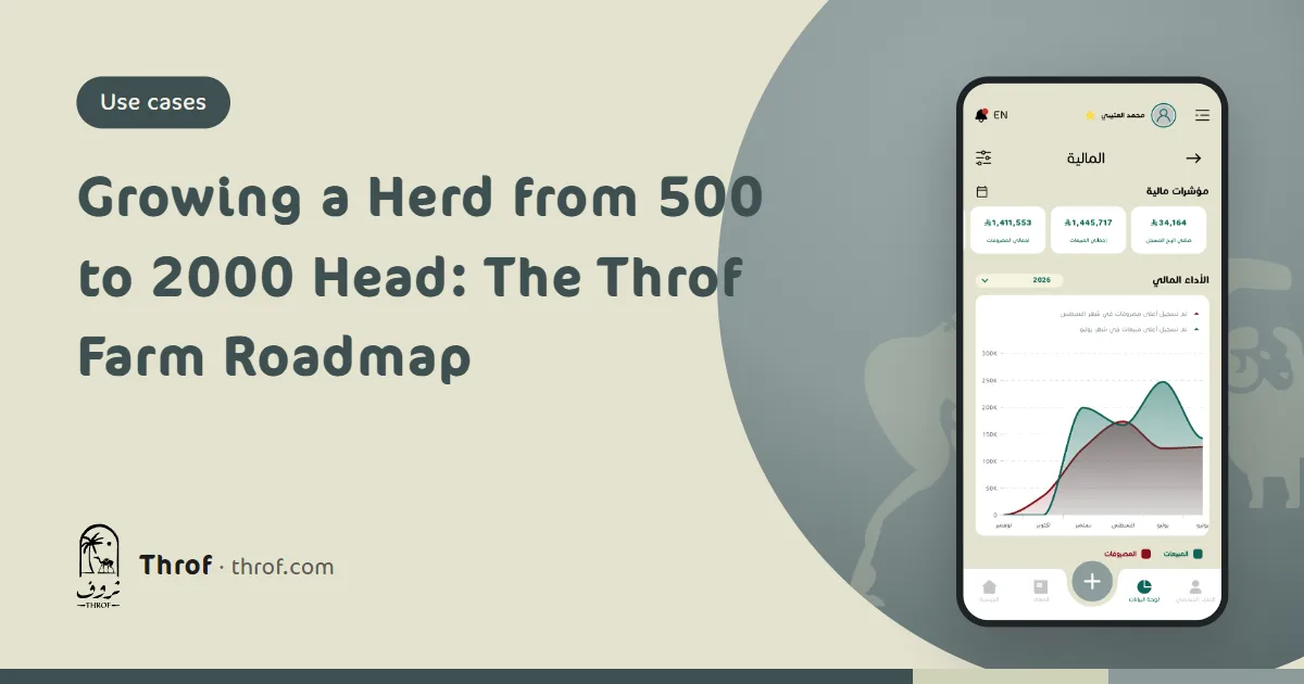 A sheep and goat farm owner following pens and team on the Throf web app on a laptop — Throf
