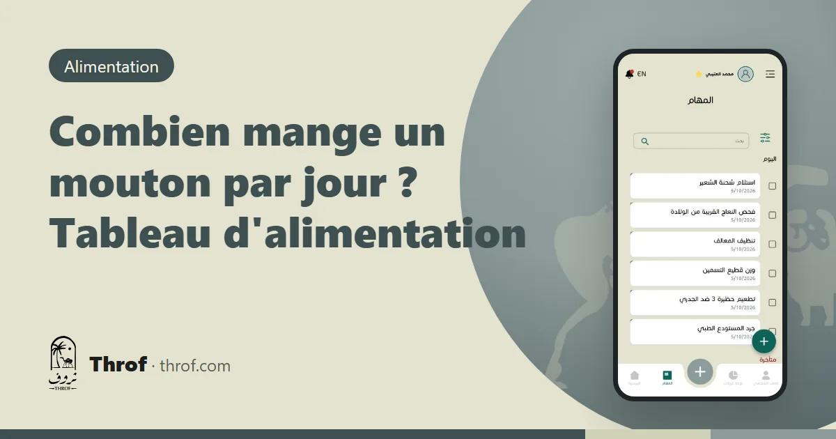 Combien mange un mouton par jour, tableau d'alimentation — Throf