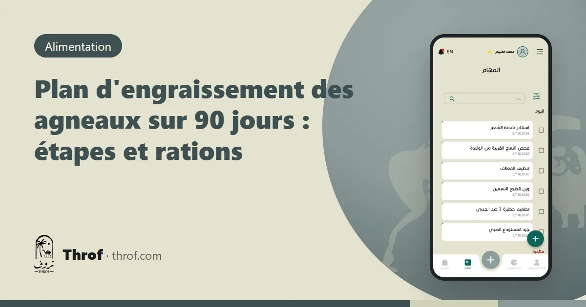Plan d'engraissement des agneaux sur 90 jours — Throf