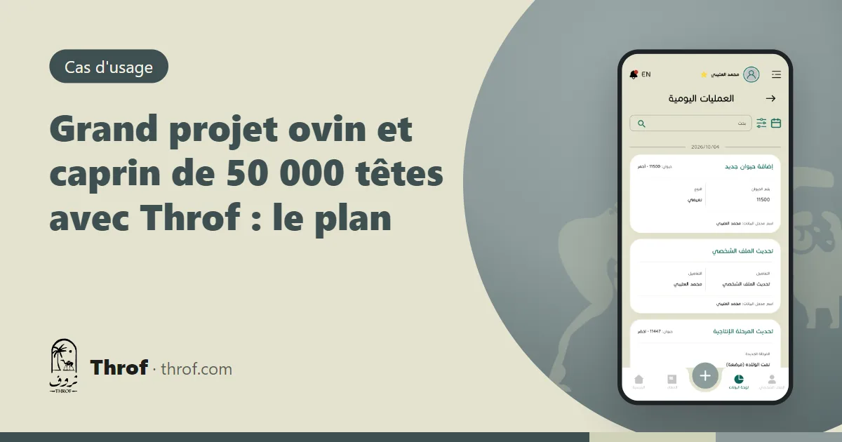 Le directeur général d'un grand projet d'élevage consulte les tableaux de bord de plusieurs sites sur la plateforme web Throf — Throf