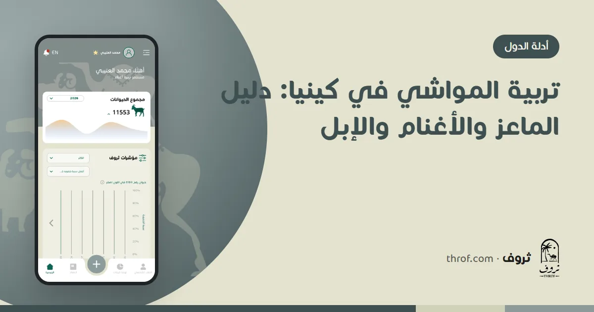 ماعز غالا وأغنام دوربر وإبل في أرض جافة بكينيا — ثروف