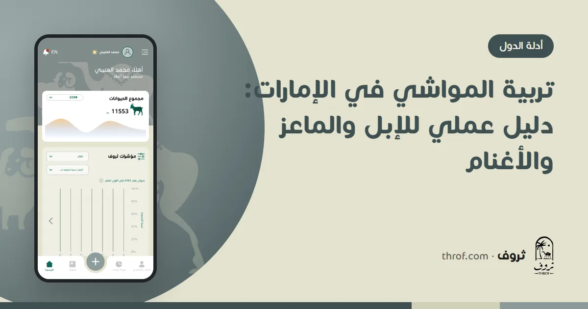 إبل وماعز في عزبة صحراوية بالإمارات — ثروف
