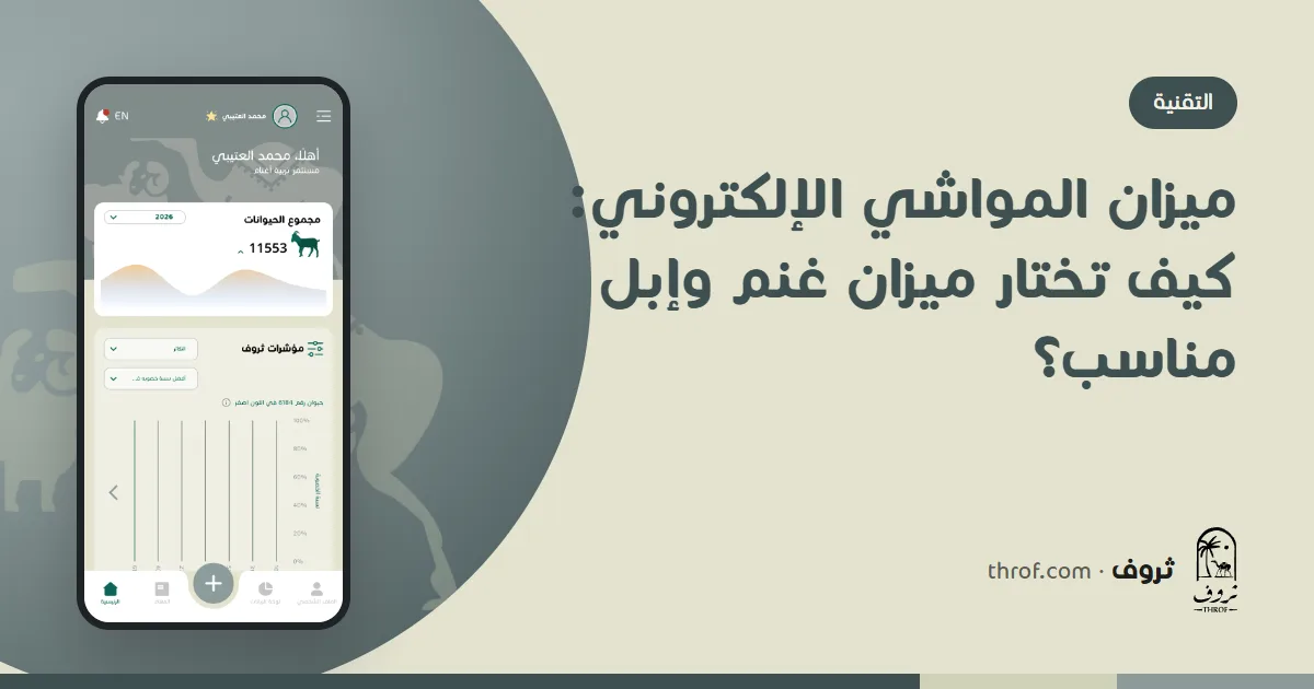 ميزان المواشي الإلكتروني: خروف داخل قفص وزن بشاشة رقمية وقارئ RFID — ثروف