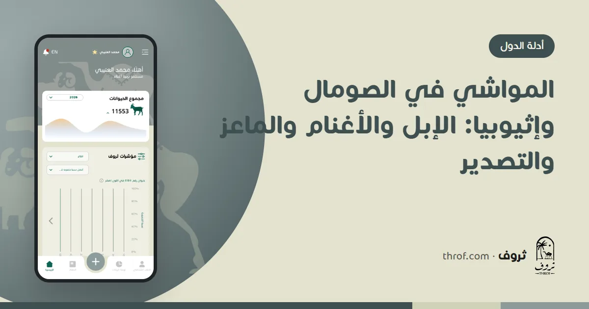 إبل وأغنام بربري رأس أسود وماعز عند نقطة ماء في القرن الأفريقي — ثروف