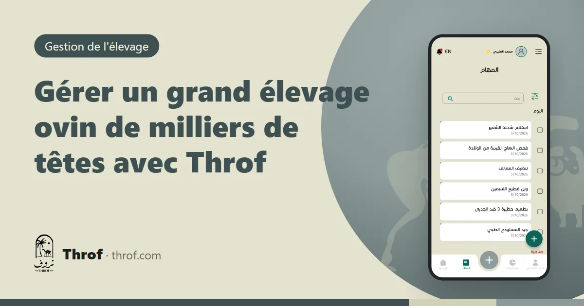 Un responsable d'élevage suit des milliers de moutons et chèvres sur le tableau de bord web de Throf — Throf