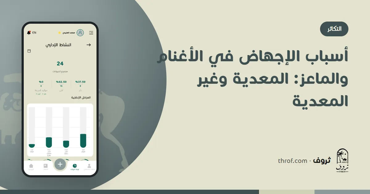 مربٍ يعزل نعجة مجهضة عن القطيع — ثروف