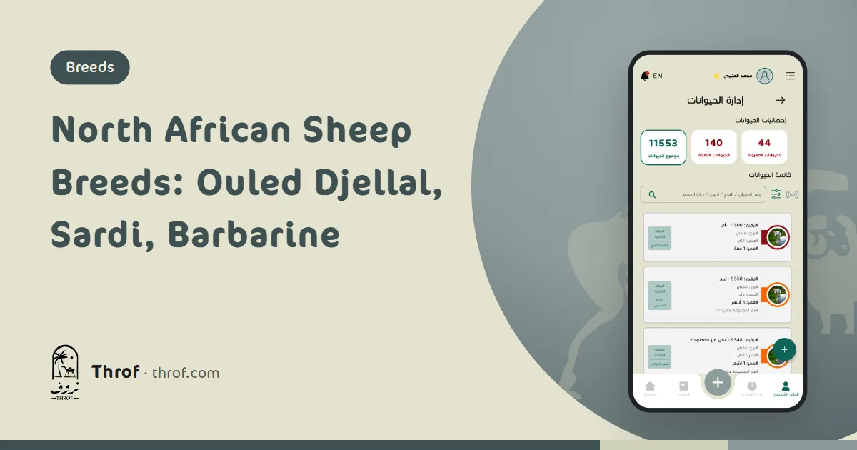 Sheep breeds of Algeria, Morocco, Tunisia, Libya and Mauritania — Throf
