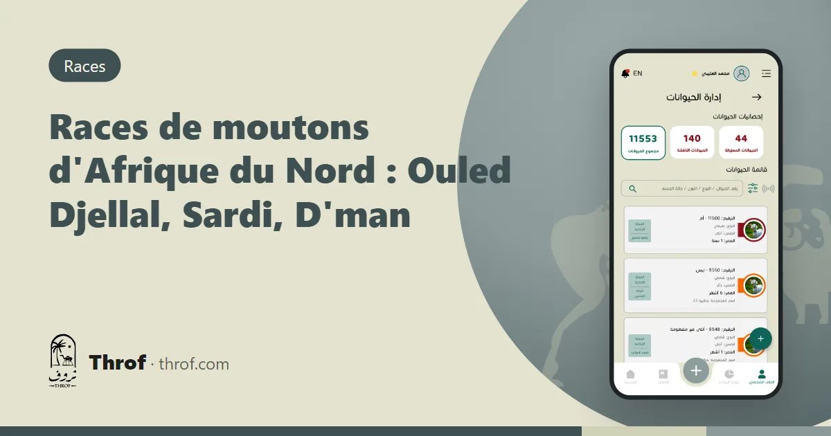 Les races de moutons d'Algérie, du Maroc, de Tunisie, de Libye et de Mauritanie — Throf