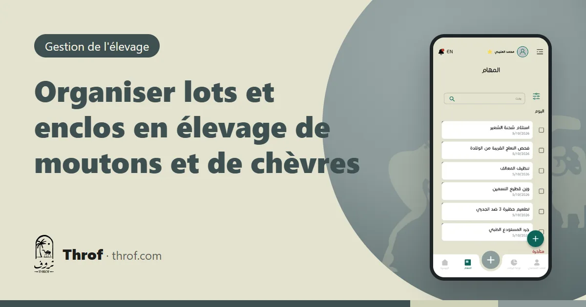Organiser les enclos de moutons et de chèvres en lots par stade de production — Throf