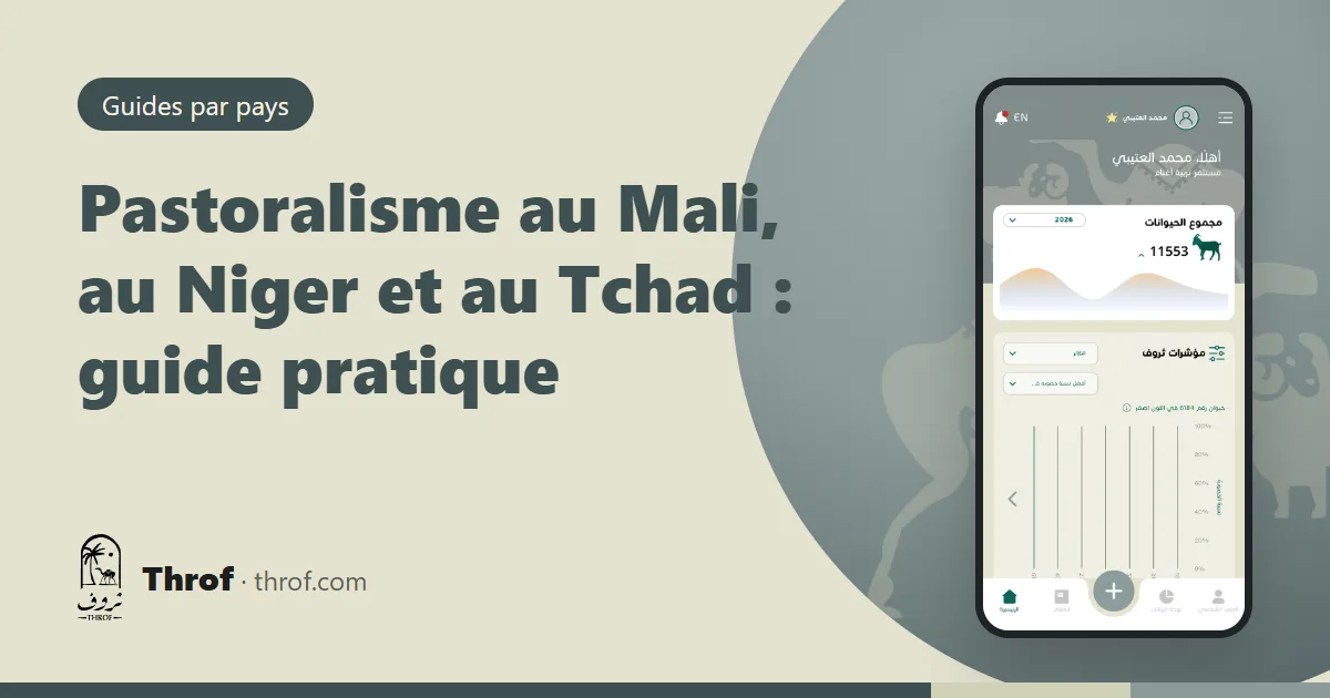 Troupeau mixte de moutons, chèvres et dromadaires sur une piste de transhumance au Sahel — Throf
