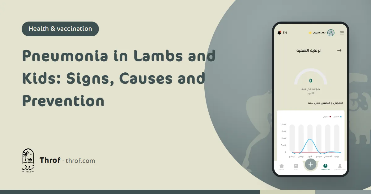 Pneumonia in lambs and kids, signs and prevention — Throf