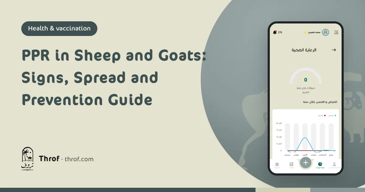 PPR in sheep and goats, signs and prevention — Throf