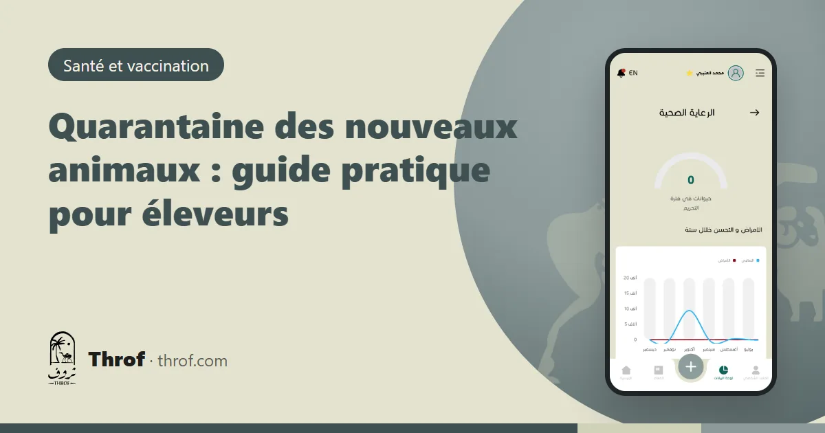 Moutons nouvellement achetés dans un enclos de quarantaine séparé — Throf