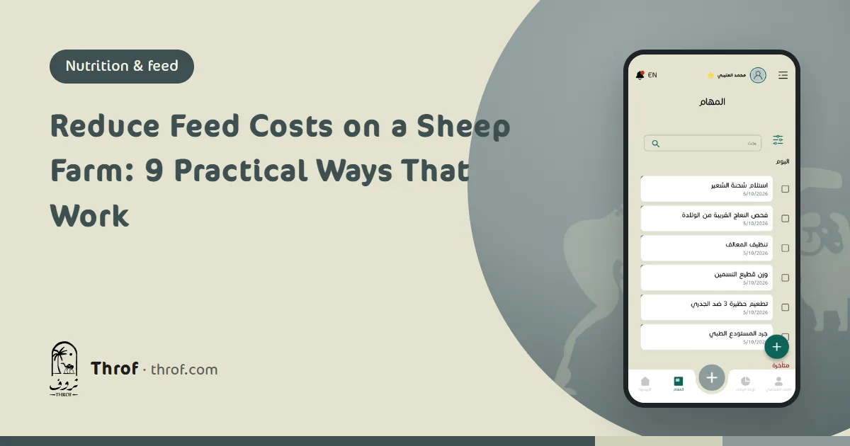 Reduce feed costs on a sheep farm — Throf