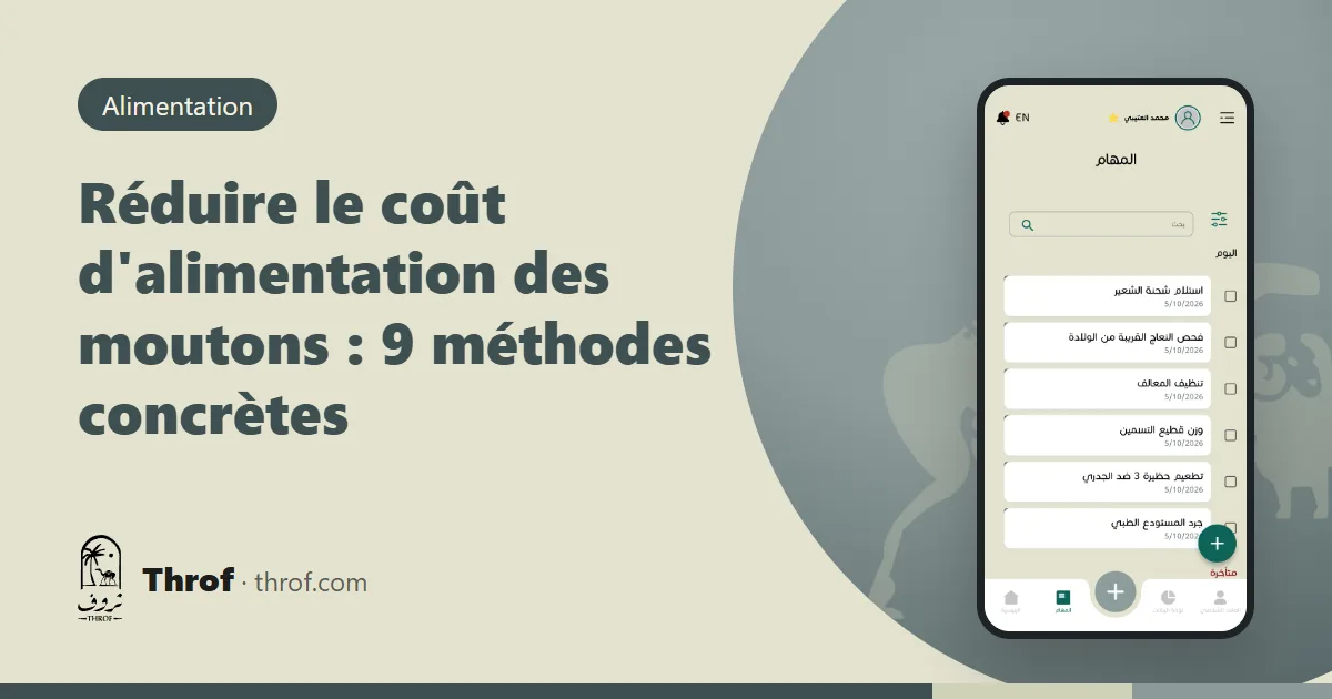 Réduire le coût d'alimentation des moutons — Throf