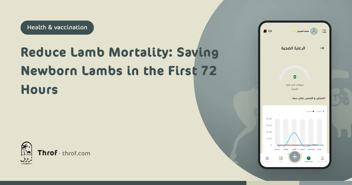 Ewe with her newborn lamb in a clean, shaded lambing pen — Throf