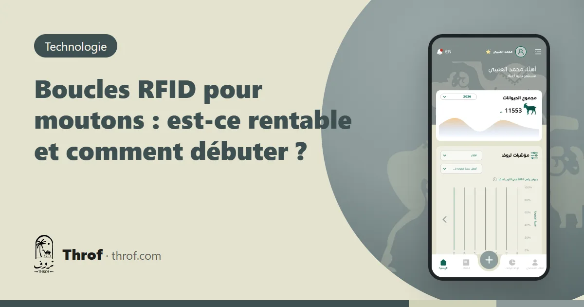 Lecteur RFID Bluetooth qui lit une boucle électronique et ouvre la fiche d'un mouton — Throf