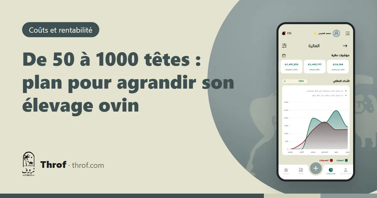 Un élevage ovin qui passe d'un petit enclos à plusieurs enclos organisés — Throf