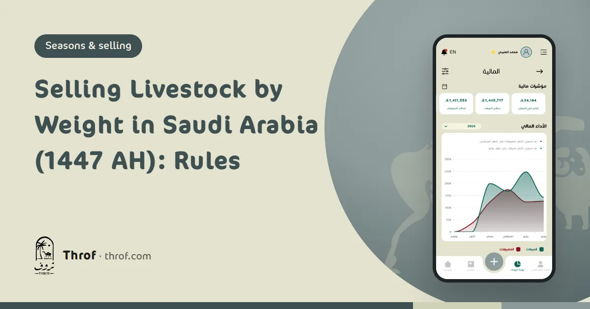 Selling livestock by weight in Saudi Arabia: a sheep on an electronic scale with a display and printed invoice — Throf