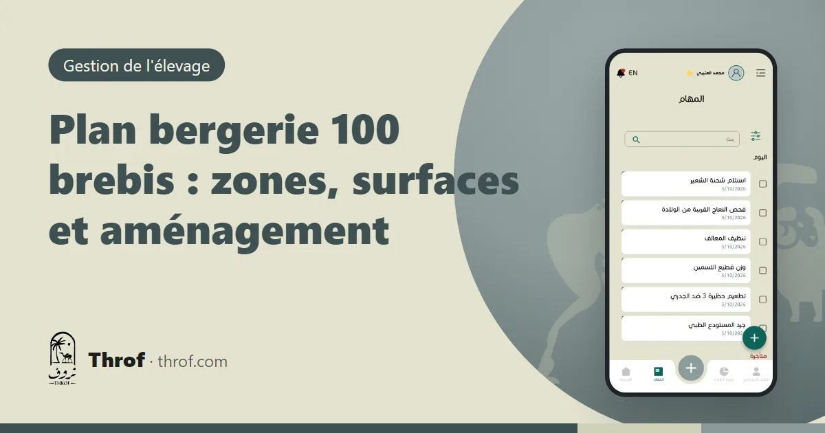 Plan vu du dessus d'une bergerie pour 100 brebis avec enclos, cases d'agnelage et couloir d'alimentation — Throf