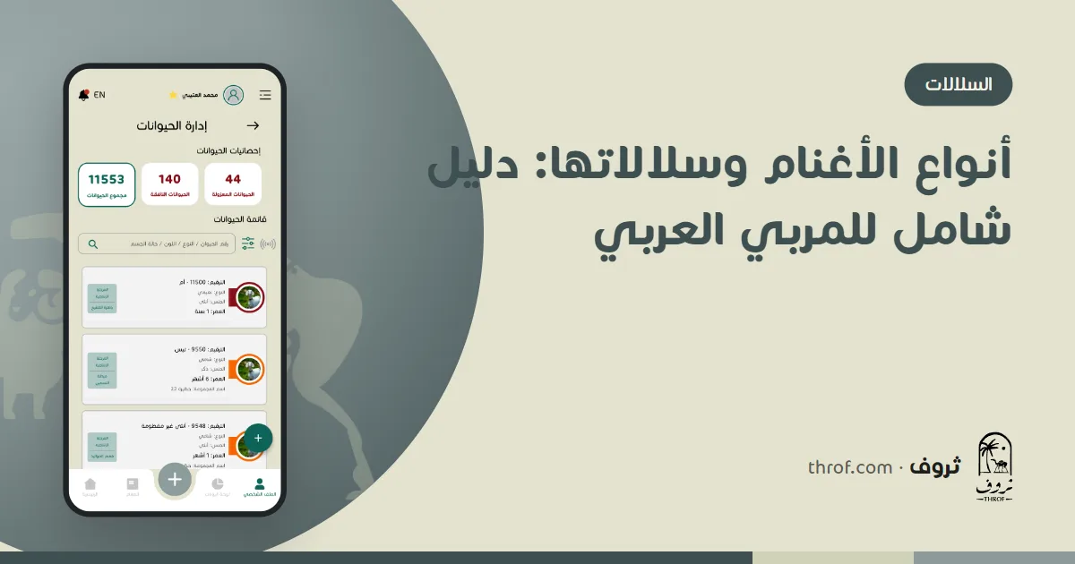أنواع الأغنام وسلالاتها من الخليج إلى العالم في دليل واحد — ثروف
