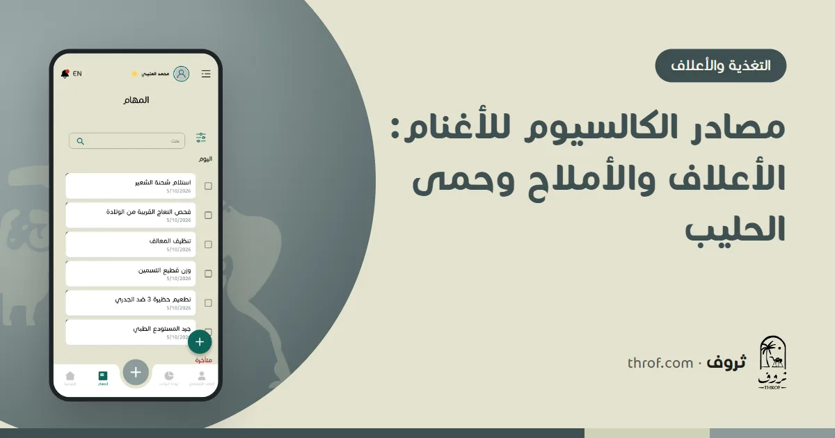 مصادر الكالسيوم للأغنام والماعز من الأعلاف والأملاح — ثروف