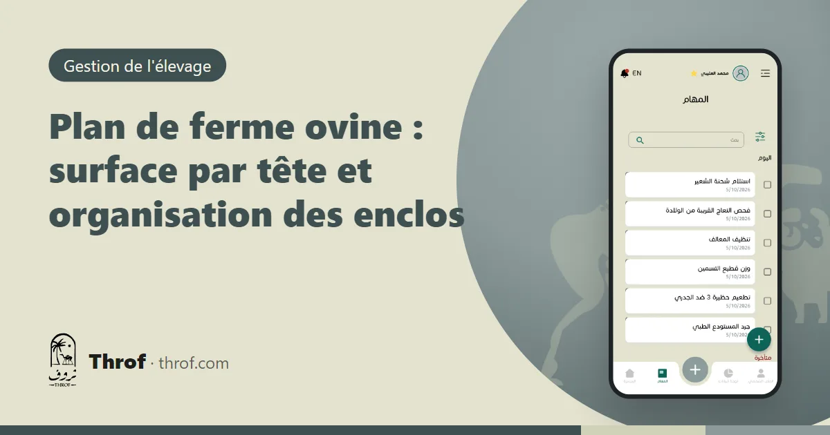 Plan vu du dessus d'une ferme ovine avec zones brebis, agnelage, embouche et quarantaine — Throf